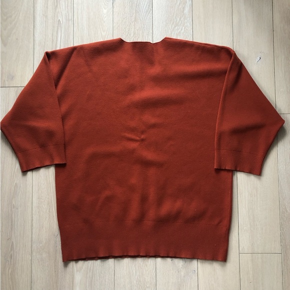 Aritzia Wilfred Free Oversized V Neck Pullover in Burnt Orange Size 2 - Picture 11 of 11
